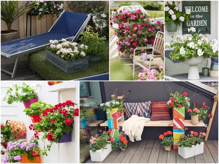 Jak ozdobić parapet na balkonie? 10 inspirujących pomysłów na dekoracje