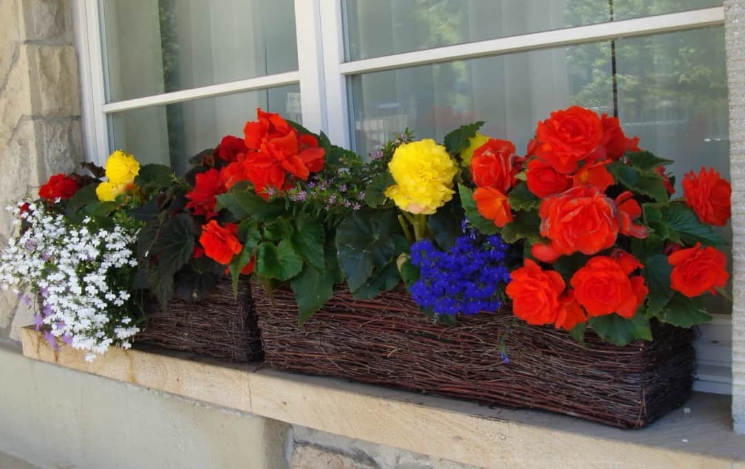 Jak zrobić donicę na balkon: łatwe sposoby na piękne rośliny