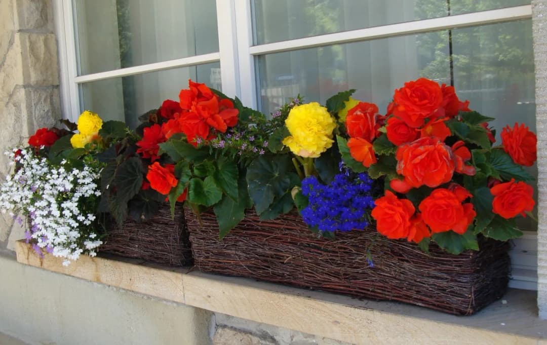 Jak zrobić donicę na balkon: łatwe sposoby na piękne rośliny