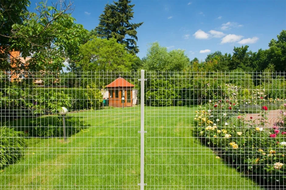 Czy można postawić płot w granicy? Zobacz, co musisz wiedzieć