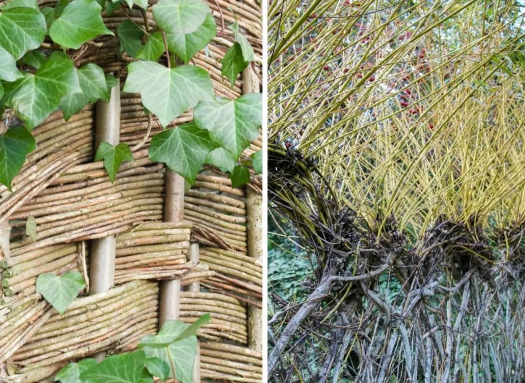 Jak zrobić płot z wierzby - proste kroki do pięknego ogrodzenia