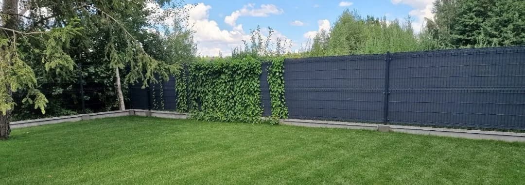 Czym zakryć ogrodzenie z siatki, aby zyskać prywatność i styl?