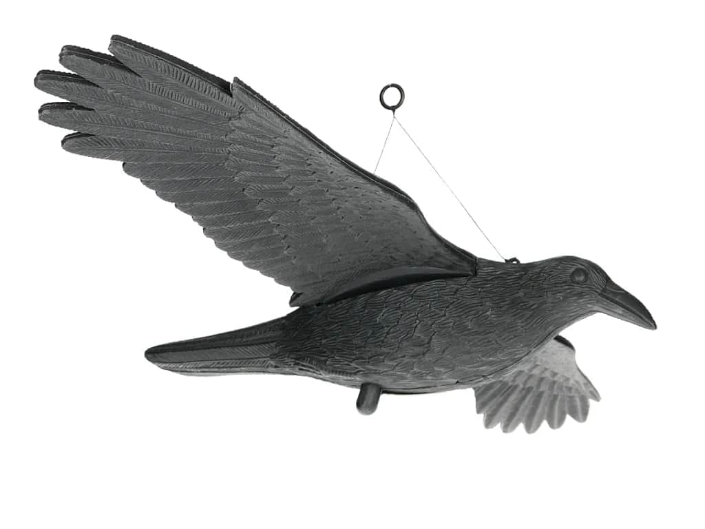 Jak zamontować kruka na balkonie, by skutecznie odstraszyć ptaki