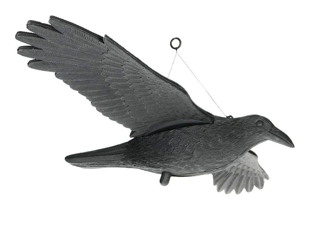 Jak zamontować kruka na balkonie, by skutecznie odstraszyć ptaki