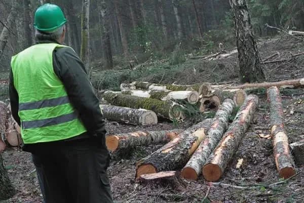 Gdzie zgłosić uszkodzenie ogrodzenia? Sprawdź, jak uniknąć strat
